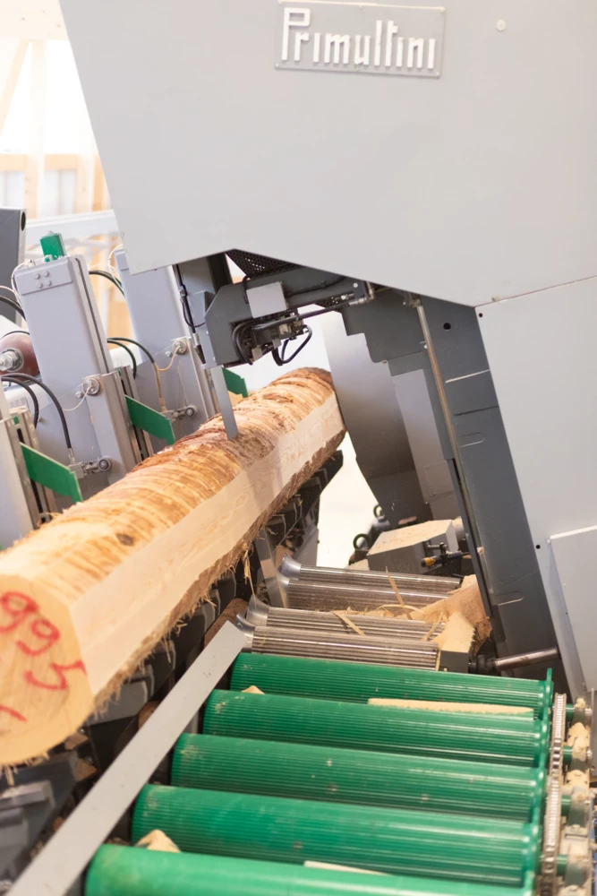 Sägehalle im Lignotrend-Werk Ibach