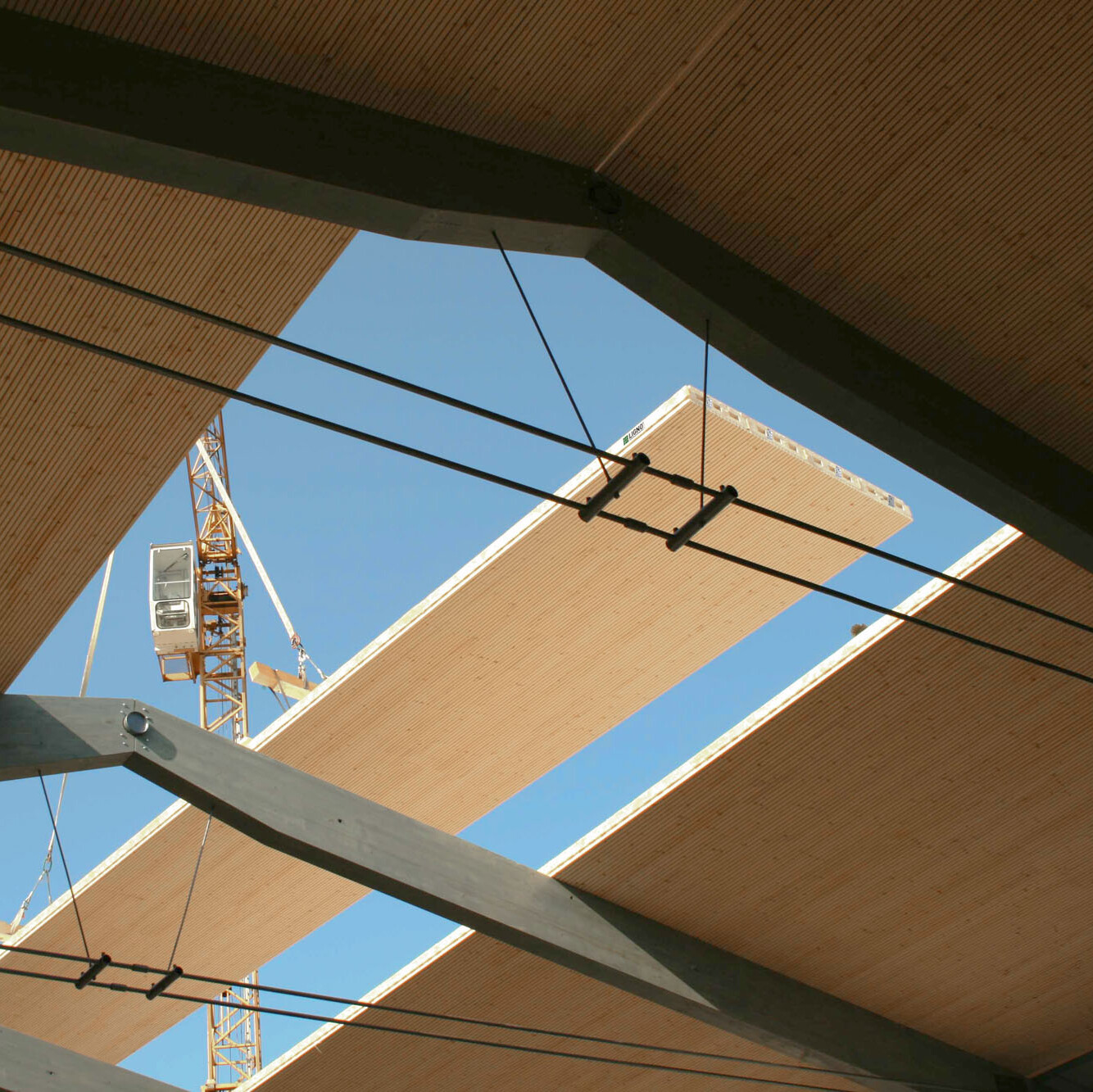 Montage eines Großflächenelements LIGNO® Dach aus Holz auf unterspanntem Dachbinder