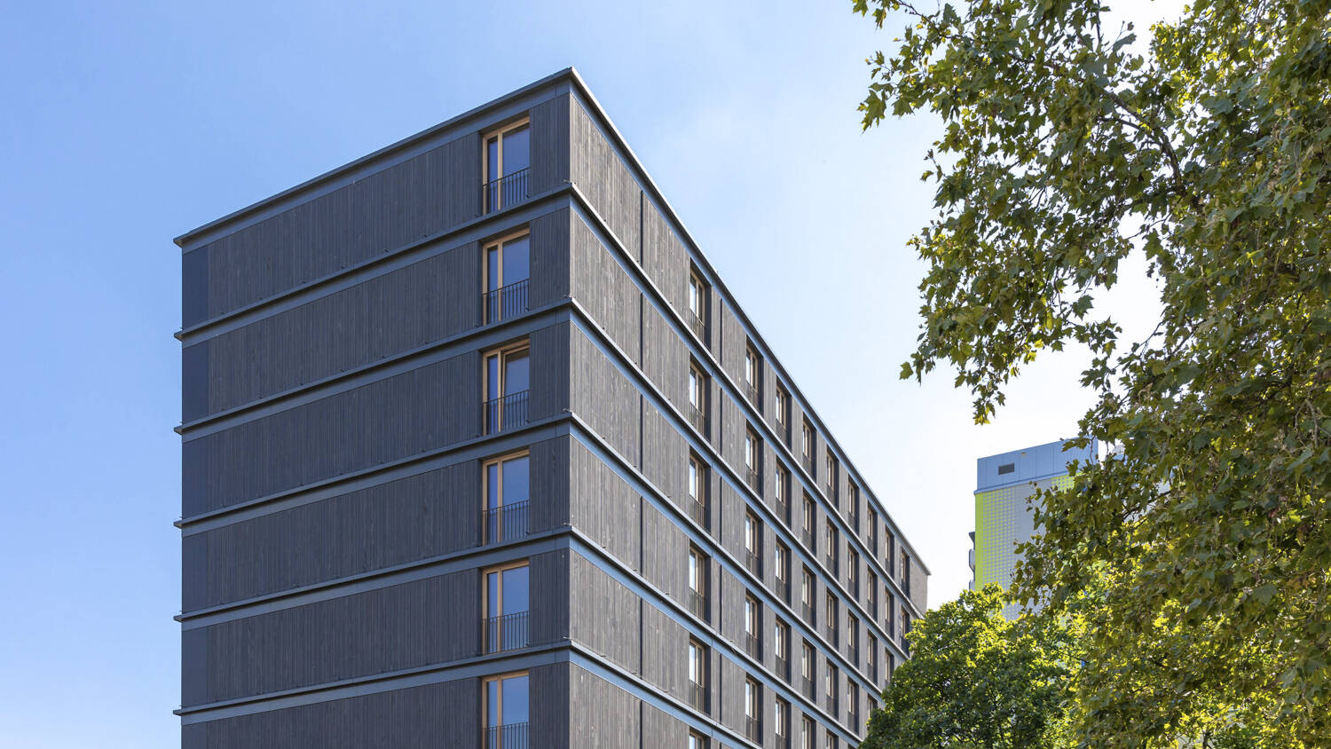 Der Buggi 52 in Freiburg ist das erste FSC-zertifizierte Holzgebäude Deutschlands und wurde Ende 2020 aufgestellt. 