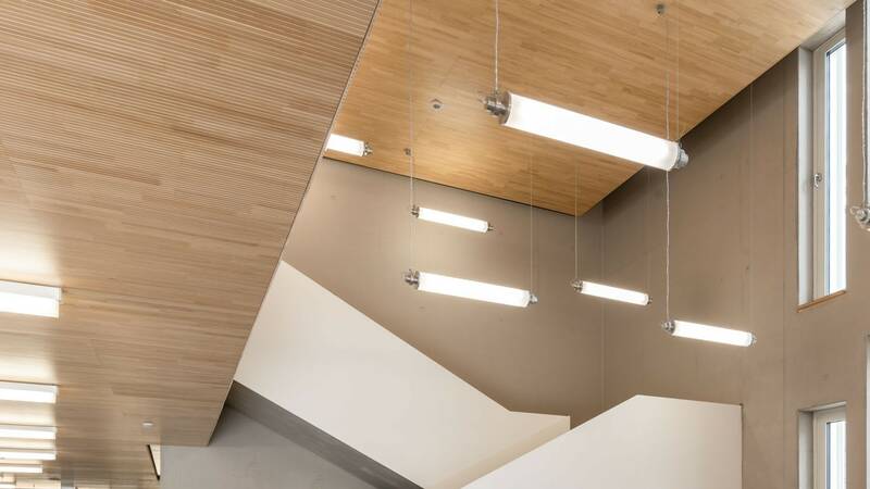LIGNO® Akustik light in Weisstanne lebhaft | Schule Lycée Vauban 