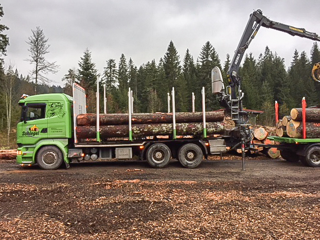 Der Rundholztransport von Lignotrend erfolgt in Zusammenarbeit mit der Firma Schlegel Holztransporte und ermöglicht eine reibungslose Abwicklung zu ermöglichen