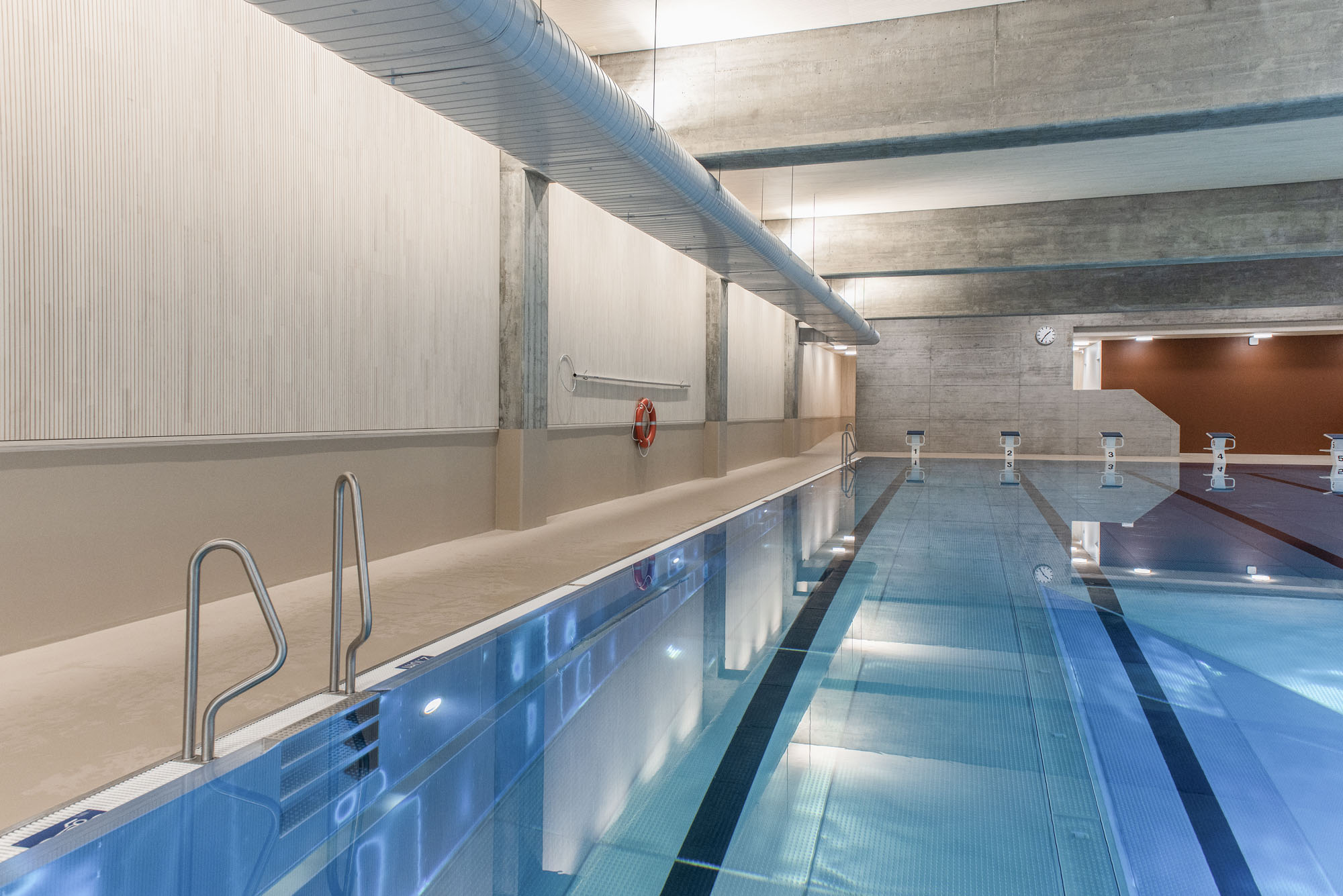 Schallharte Materialien wie Wasser, Glas und Beton werden im Hallenbad Olten durch die Verwendung der schallabsorbierenden 
Akustikpaneele von Lignotrend in Weißtanne ausgeglichen